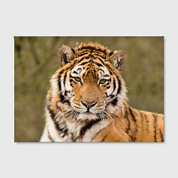 Холст прямоугольный Милый тигр, цвет: 3D-принт — фото 2