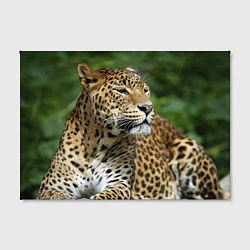 Холст прямоугольный Лик леопарда, цвет: 3D-принт — фото 2