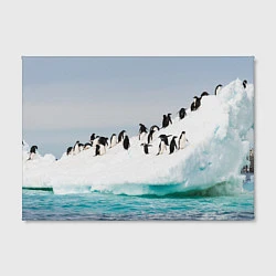 Холст прямоугольный Пингвины на айсберге, цвет: 3D-принт — фото 2