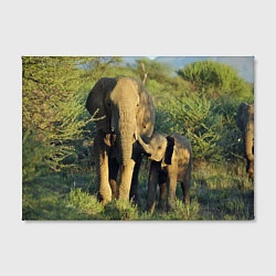 Холст прямоугольный Семья слонов в природе, цвет: 3D-принт — фото 2