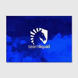 Холст прямоугольный Team Liquid: Polygons, цвет: 3D-принт — фото 2