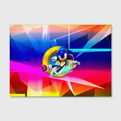 Холст прямоугольный Sonic, цвет: 3D-принт — фото 2