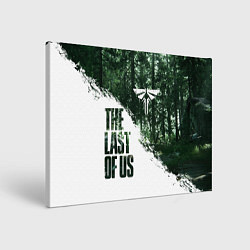 Холст прямоугольный THE LAST OF US 2 ЦИКАДЫ, цвет: 3D-принт