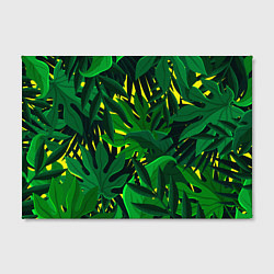 Холст прямоугольный В джунглях, цвет: 3D-принт — фото 2