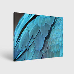 Холст прямоугольный Перья попугая, цвет: 3D-принт