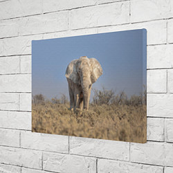 Холст прямоугольный Африканский белый слон, цвет: 3D-принт — фото 2