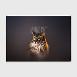 Холст прямоугольный Maine cat, цвет: 3D-принт — фото 2