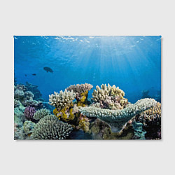 Холст прямоугольный Кораллы в тропических водах индийского океана, цвет: 3D-принт — фото 2