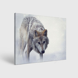 Холст прямоугольный Волк зимой, цвет: 3D-принт