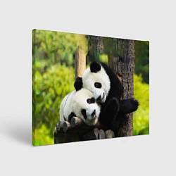 Холст прямоугольный Влюблённые панды, цвет: 3D-принт