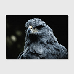 Холст прямоугольный Oрёл, цвет: 3D-принт — фото 2