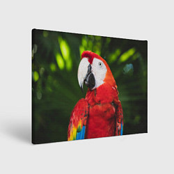 Холст прямоугольный Красный попугай Ара, цвет: 3D-принт