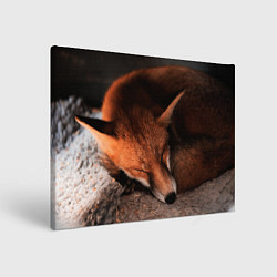 Холст прямоугольный Спящая лисичка, цвет: 3D-принт