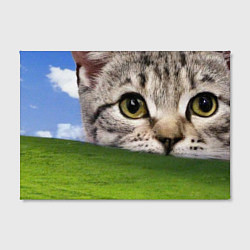 Холст прямоугольный Кот и безмятежность в Windows XP, цвет: 3D-принт — фото 2