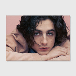 Холст прямоугольный Timothe Chalamet on a pink background, цвет: 3D-принт — фото 2