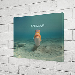 Холст прямоугольный Рыба - Александр, цвет: 3D-принт — фото 2