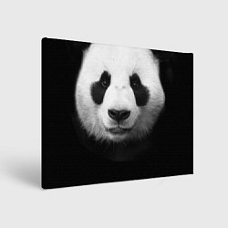 Холст прямоугольный Взгляд панды, цвет: 3D-принт