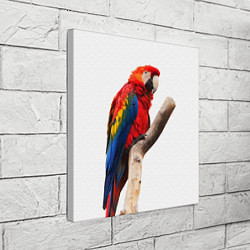 Холст квадратный Яркий попугай, цвет: 3D-принт — фото 2