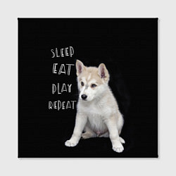 Холст квадратный Sleep Eat Play Repeat Хаски щенок, цвет: 3D-принт — фото 2