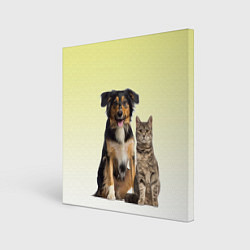 Холст квадратный Кошка и собака друзья, цвет: 3D-принт