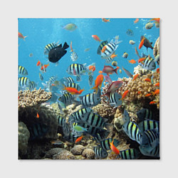 Холст квадратный Коралловые рыбки, цвет: 3D-принт — фото 2