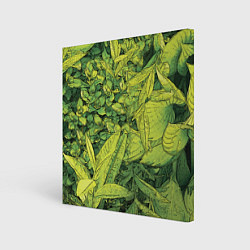 Холст квадратный Растительная жизнь - Хоста, цвет: 3D-принт
