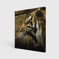 Холст квадратный Зевающий тигр, цвет: 3D-принт