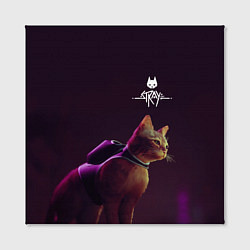 Холст квадратный Stray Боевой котик, цвет: 3D-принт — фото 2