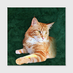 Холст квадратный Мейн кун рыжий кот, цвет: 3D-принт — фото 2