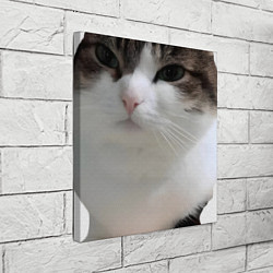 Холст квадратный Wawa cat Oh The Misery Cat, цвет: 3D-принт — фото 2
