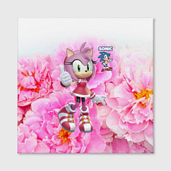 Холст квадратный Sonic - Amy Rose - Video game, цвет: 3D-принт — фото 2