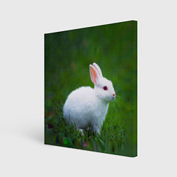 Холст квадратный Кролик на фоне травы, цвет: 3D-принт