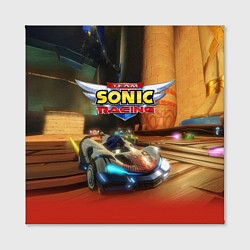Холст квадратный Team Sonic racing - hedgehog - video game, цвет: 3D-принт — фото 2