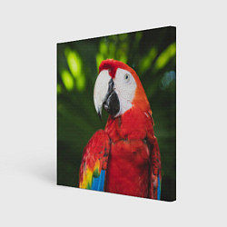 Холст квадратный Красный попугай Ара, цвет: 3D-принт