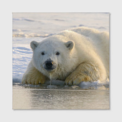 Холст квадратный Белый медведь ожидает, цвет: 3D-принт — фото 2