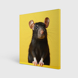 Холст квадратный Крыса черная, цвет: 3D-принт