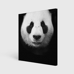 Холст квадратный Взгляд панды, цвет: 3D-принт