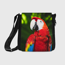 Сумка на плечо Красный попугай Ара, цвет: 3D-принт