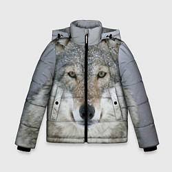 Зимняя куртка для мальчика Милый волк