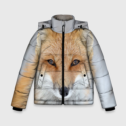 Зимняя куртка для мальчика Зимняя лиса / 3D-Светло-серый – фото 1