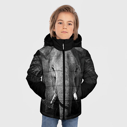 Зимняя куртка для мальчика Взгляд слона / 3D-Черный – фото 3