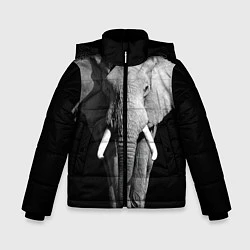 Куртка зимняя для мальчика Старый слон, цвет: 3D-черный