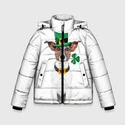 Куртка зимняя для мальчика Ирландия, цвет: 3D-черный