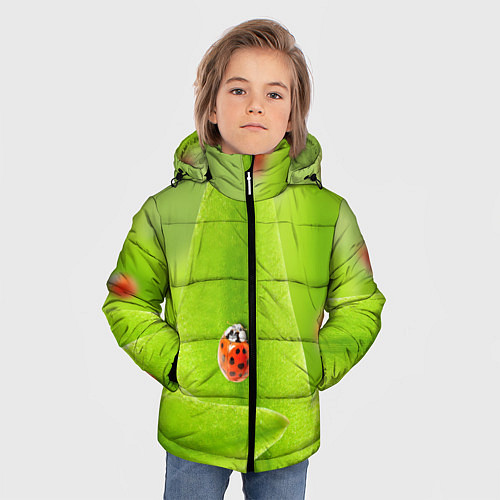 Зимняя куртка для мальчика Жучки на травке / 3D-Черный – фото 3