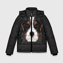 Куртка зимняя для мальчика Cavalier King Charles, цвет: 3D-черный