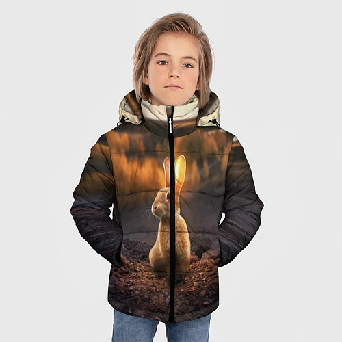 Зимняя куртка для мальчика Солнечный зайчик / 3D-Черный – фото 3