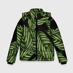 Куртка зимняя для мальчика Тропические большие листья, цвет: 3D-черный