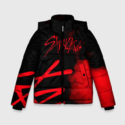 Куртка зимняя для мальчика Stray Kids, цвет: 3D-черный