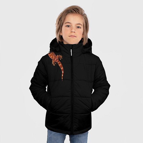 Зимняя куртка для мальчика Ручной геккон / 3D-Черный – фото 3