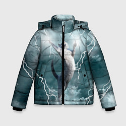 Куртка зимняя для мальчика Грозовой кошак, цвет: 3D-черный